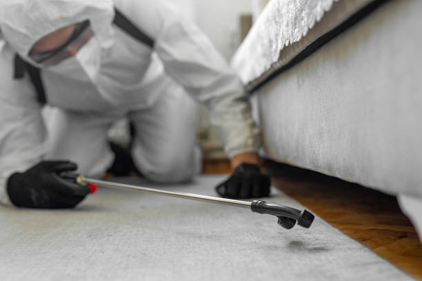 Professional Pest Control technician working in Mount Carmel, OH