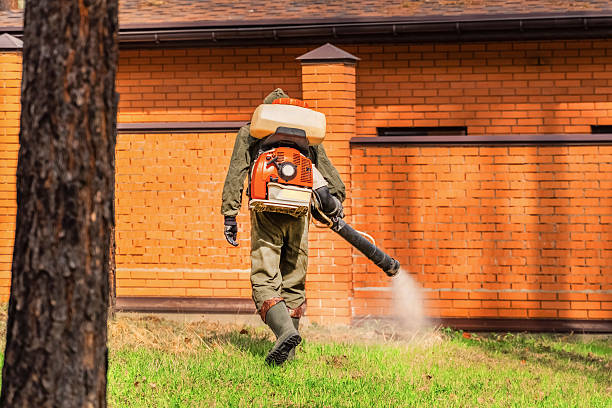 Trusted Rodent Control service in Mount Carmel, OH - Nex Pest Control